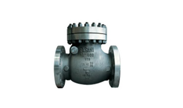 逆止閥<br>Check Valves